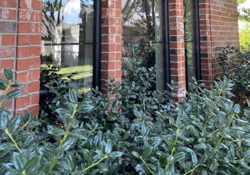 Affordable Full Panel Replacement Options in Dallas